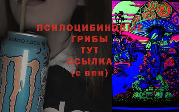 бутират Алексеевка