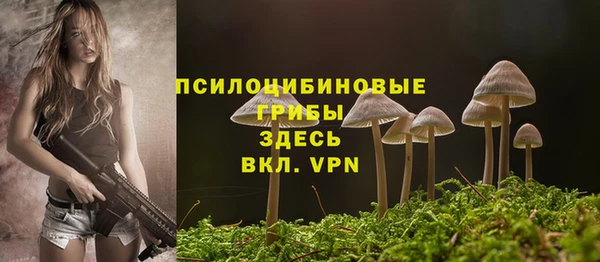 бутират Алексеевка