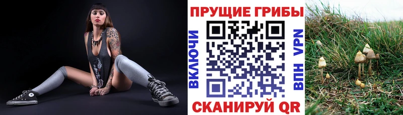 Псилоцибиновые грибы ЛСД  Берёзовский 